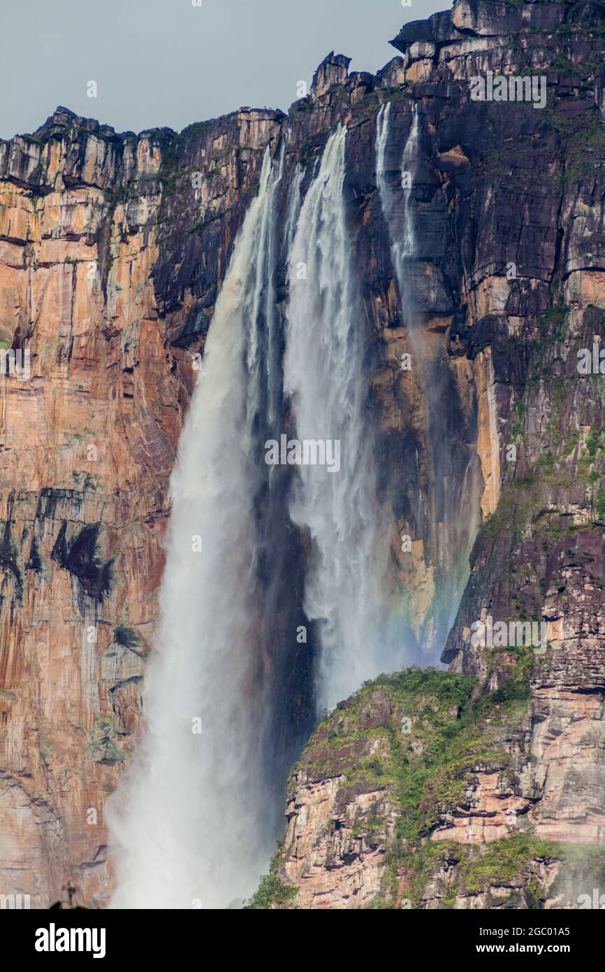 Angel Falls (Salto Angel), la cascata più alta del mondo (978 m), Venezuela  Foto stock - Alamy