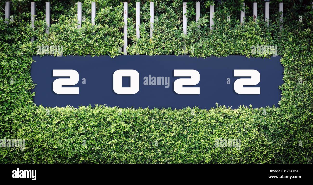 Numero 2022 logo sulla incorniciata da foglie verdi, utilizzare felice anno di notizie concetto. Foto Stock