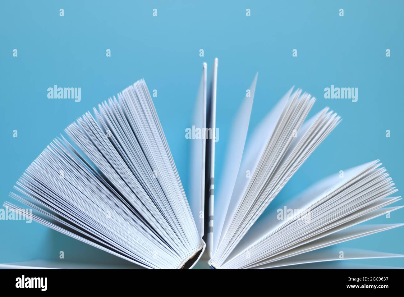 Libro su sfondo blu.Reading e l'istruzione . Conoscenza e apprendimento. Lettura di libri. Libro pagine close-up.conoscenza e formazione. Foto Stock