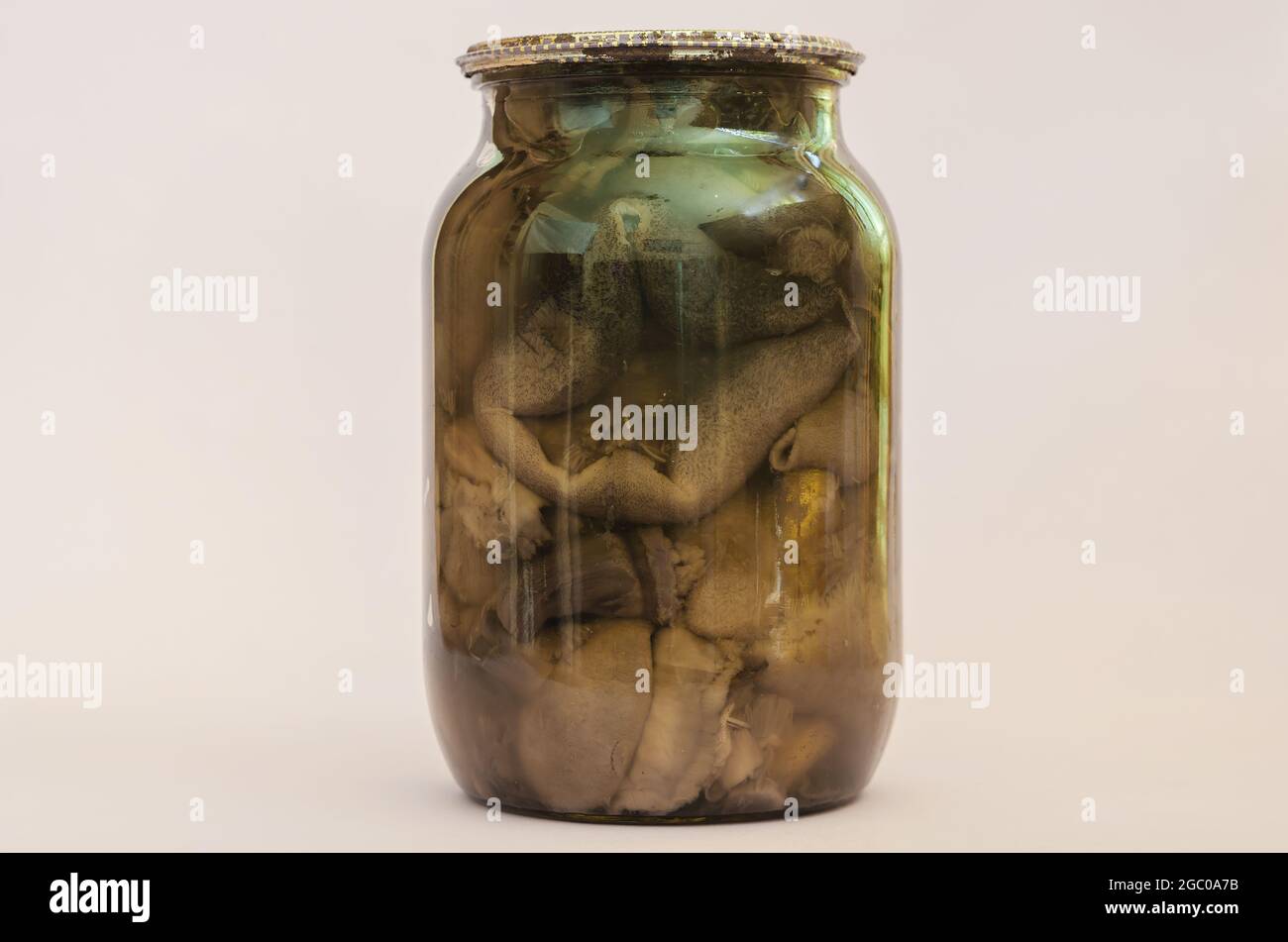 Botulismo, avvelenamento alimentare dal concetto di alimenti in scatola. Vaso di vetro con funghi sottaceto fatti in casa davanti a un rosa. Funghi neri viziati in cima Foto Stock