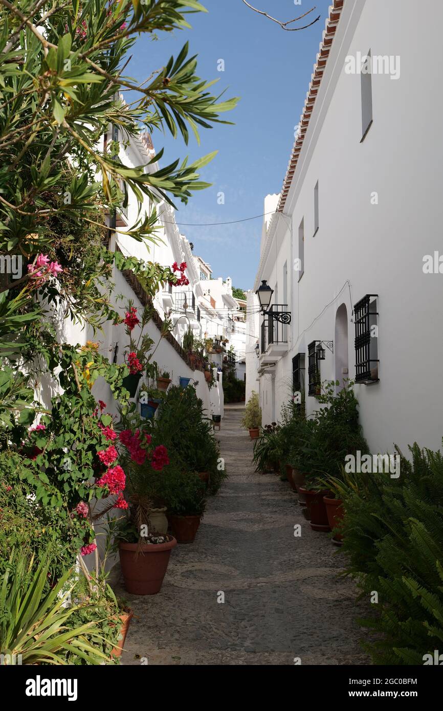 Vista di una strada in Frigiliana, pueblo blanco, tipico villaggio spagnolo architettura nella parte meridionale del paese Foto Stock