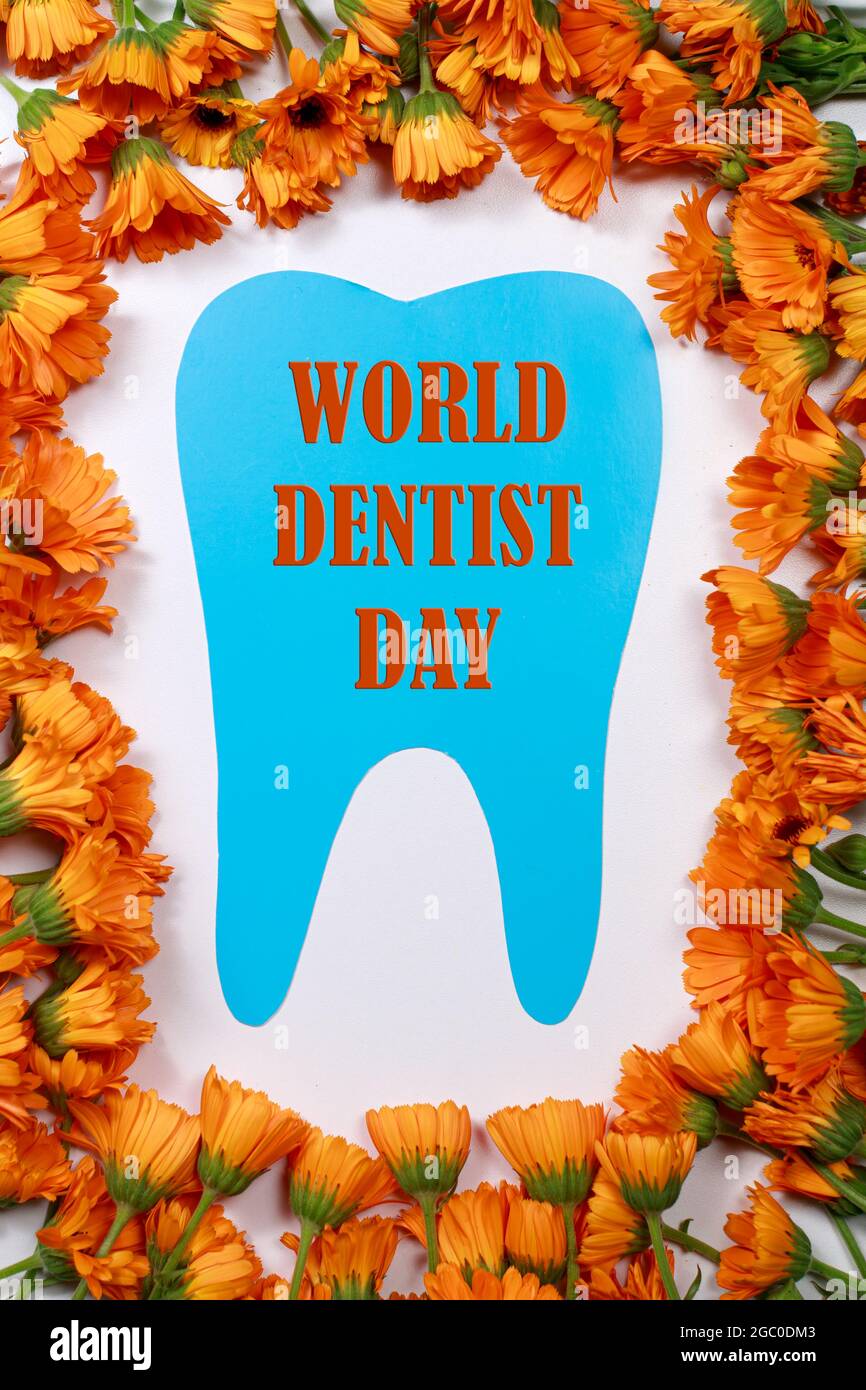 Biglietto d'auguri per odontoiatria. Denti blu e calendula fiori cornice con testo giornata del dentista del mondo Foto Stock
