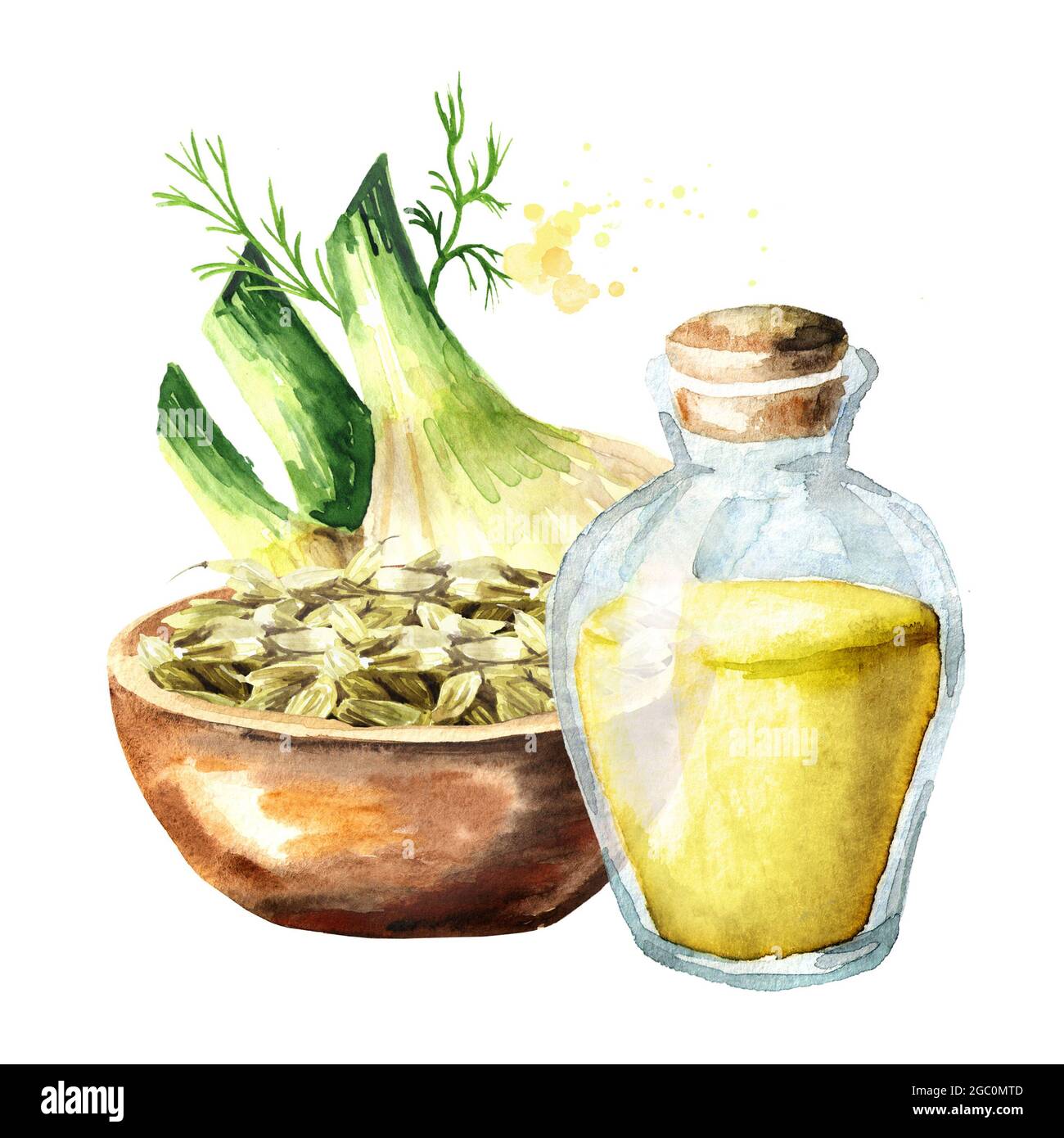 Bottiglia con olio di finocchio, bulbo e semi nel recipiente. Immagine disegnata a mano con acquerello isolata su sfondo bianco Foto Stock