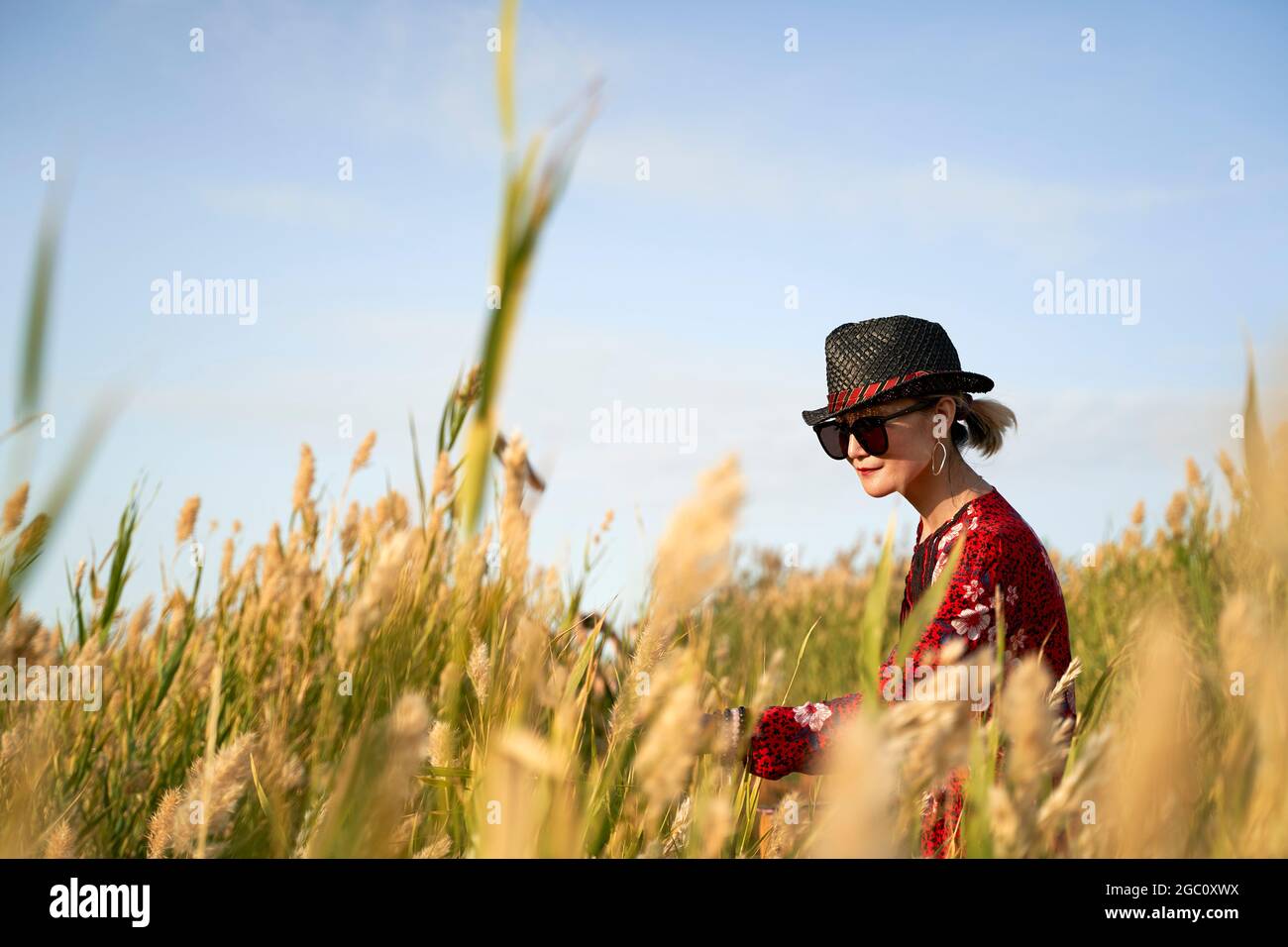 bella donna asiatica con cappello di paglia e occhiali da sole che cammina in una palude di canna Foto Stock