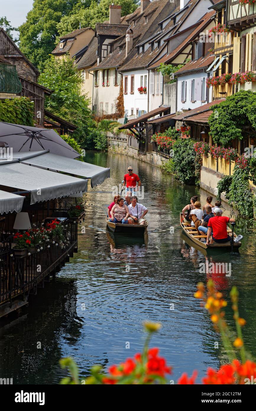 Colmar italia top