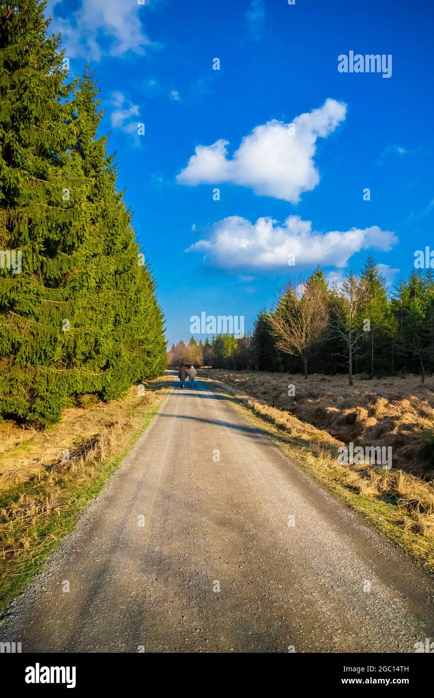 Bella vista di un percorso a piedi nel parco forestale Reinhardswald con due escursionisti lontano in una soleggiata giornata invernale con un cielo blu. Questa zona boschiva si trova... Foto Stock