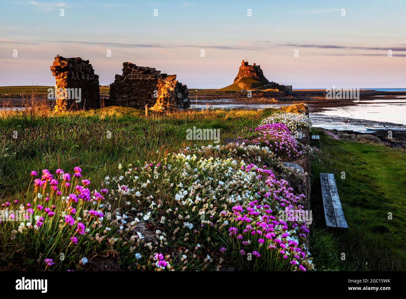 Da Heugh, Holy Island, Northumberland Foto Stock