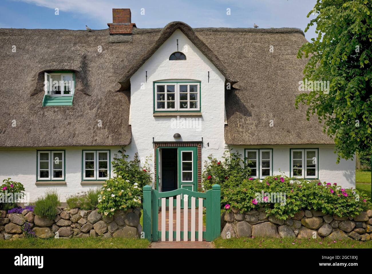 Casa sul tetto in paglia, casa Frisone a Nebel, Germania, Schleswig-Holstein, Frisia settentrionale, Amrum Foto Stock