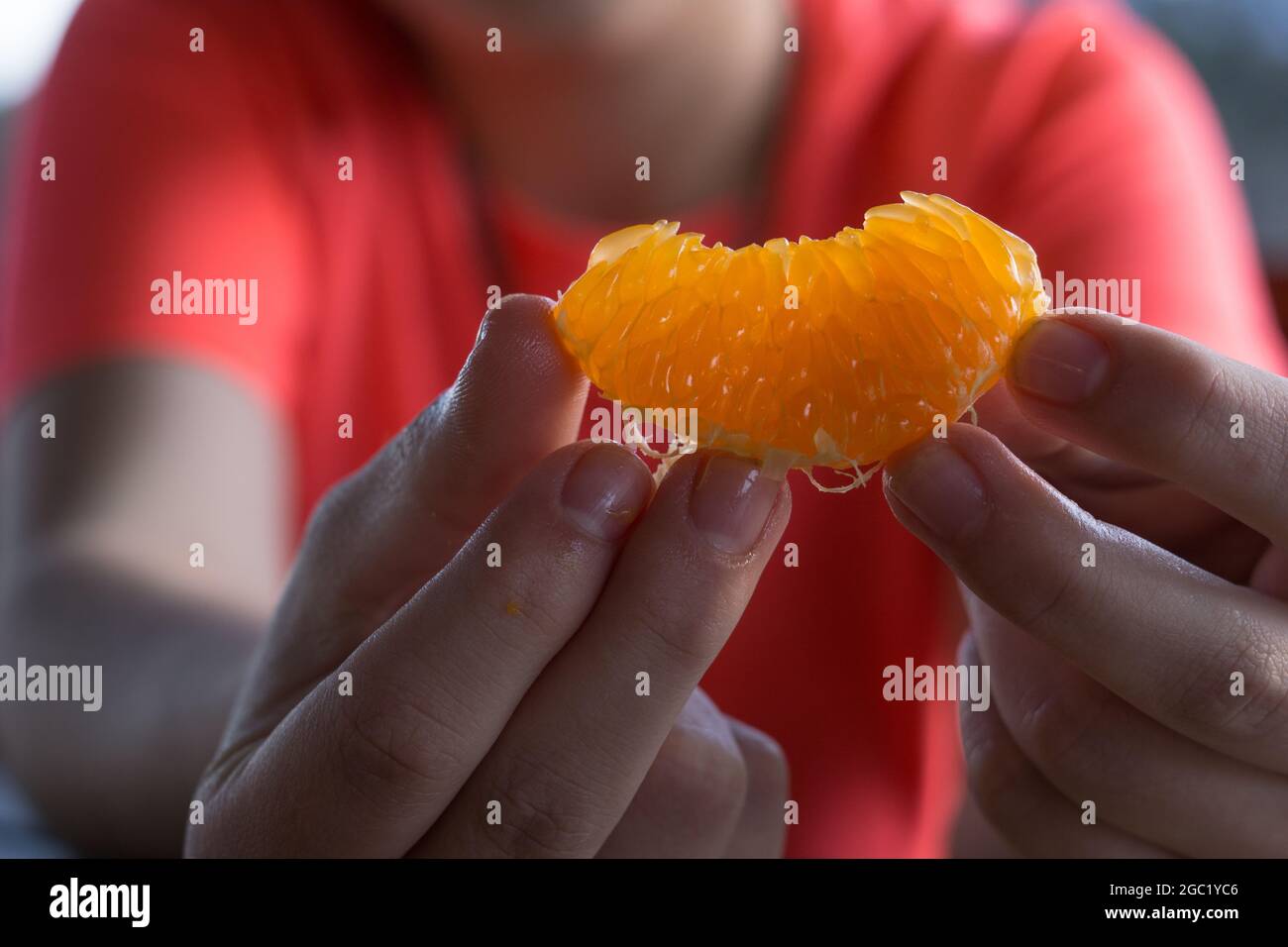 Colpo di closeup di mani che tengono un mandarino pelato. Foto Stock
