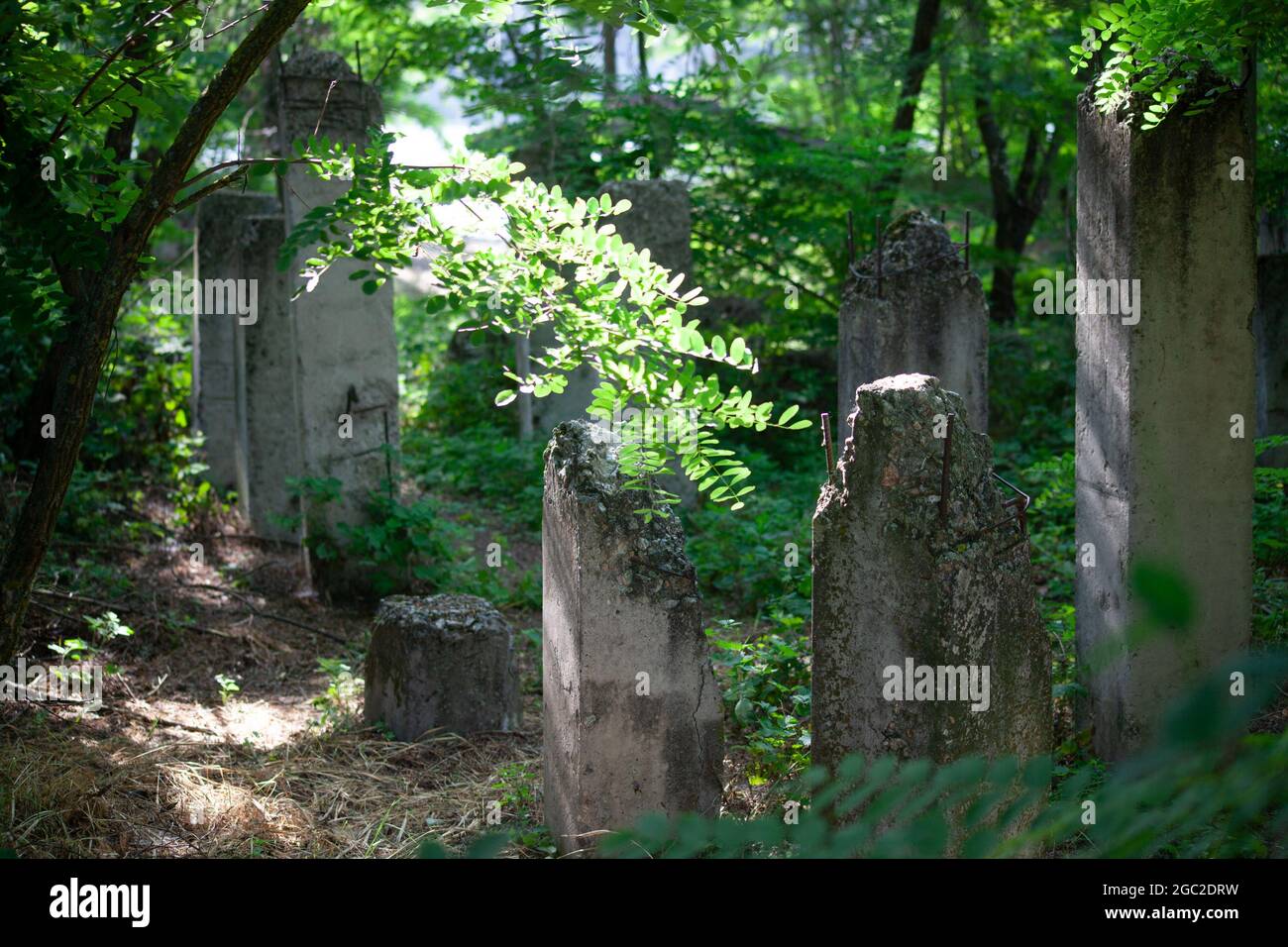 Rinforzare barra di calcestruzzo in pila di calcestruzzo. Rotto pile di calcestruzzo in foresta. Foto Stock