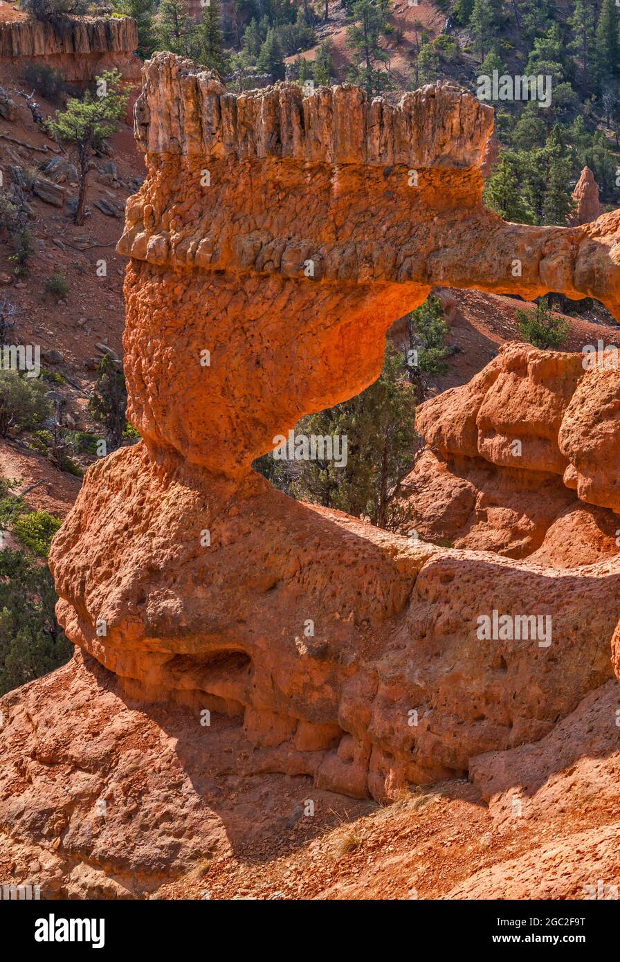Finestra naturale nella formazione di arenaria, Arches Trail, Red Canyon, Dixie National Forest, vicino a Panguitch, Utah, Stati Uniti Foto Stock