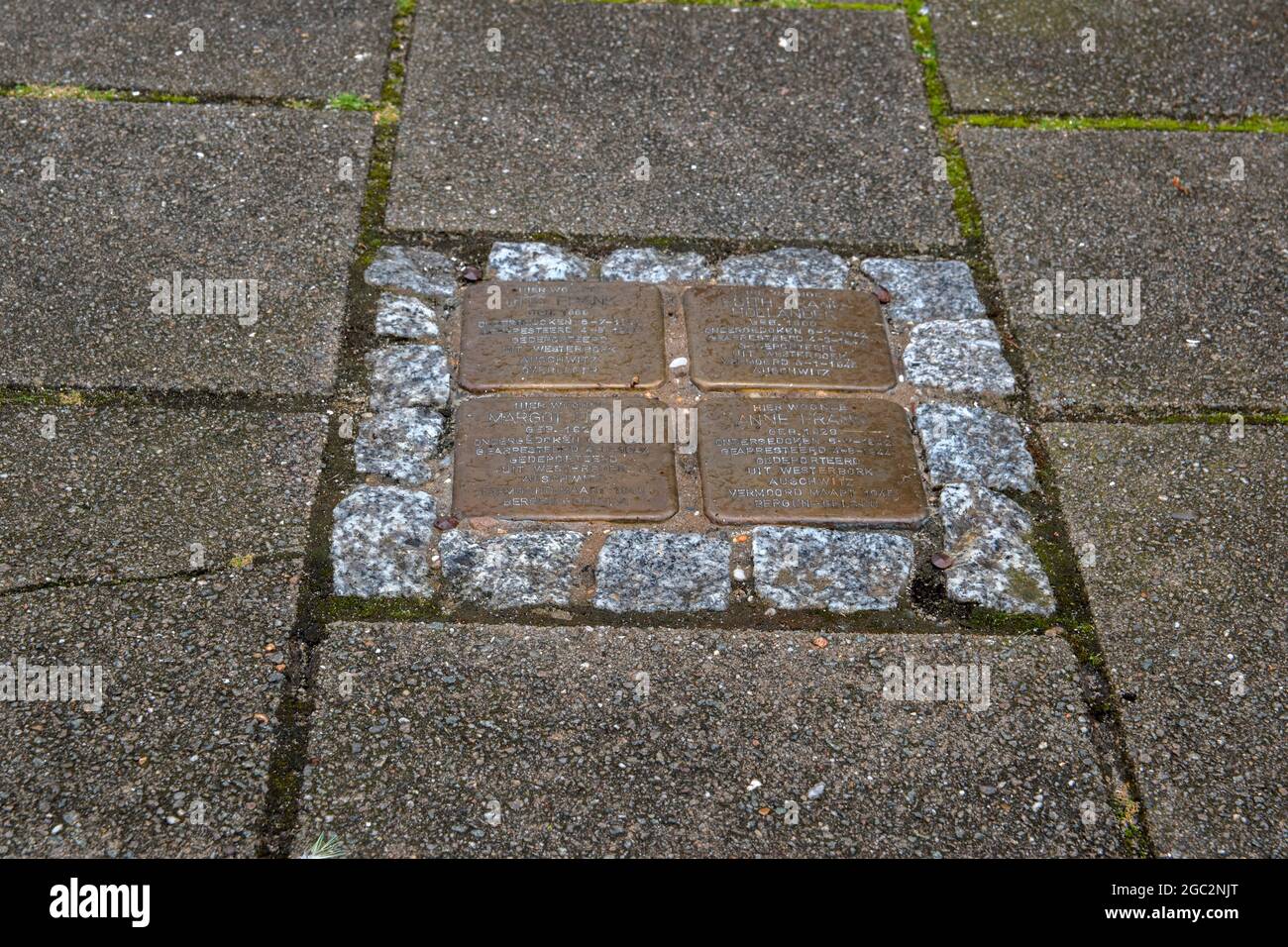 Primo piano Stolperstein Memorial Stone della famiglia Frank ad Amsterdam Paesi Bassi 6-8-2021 Foto Stock