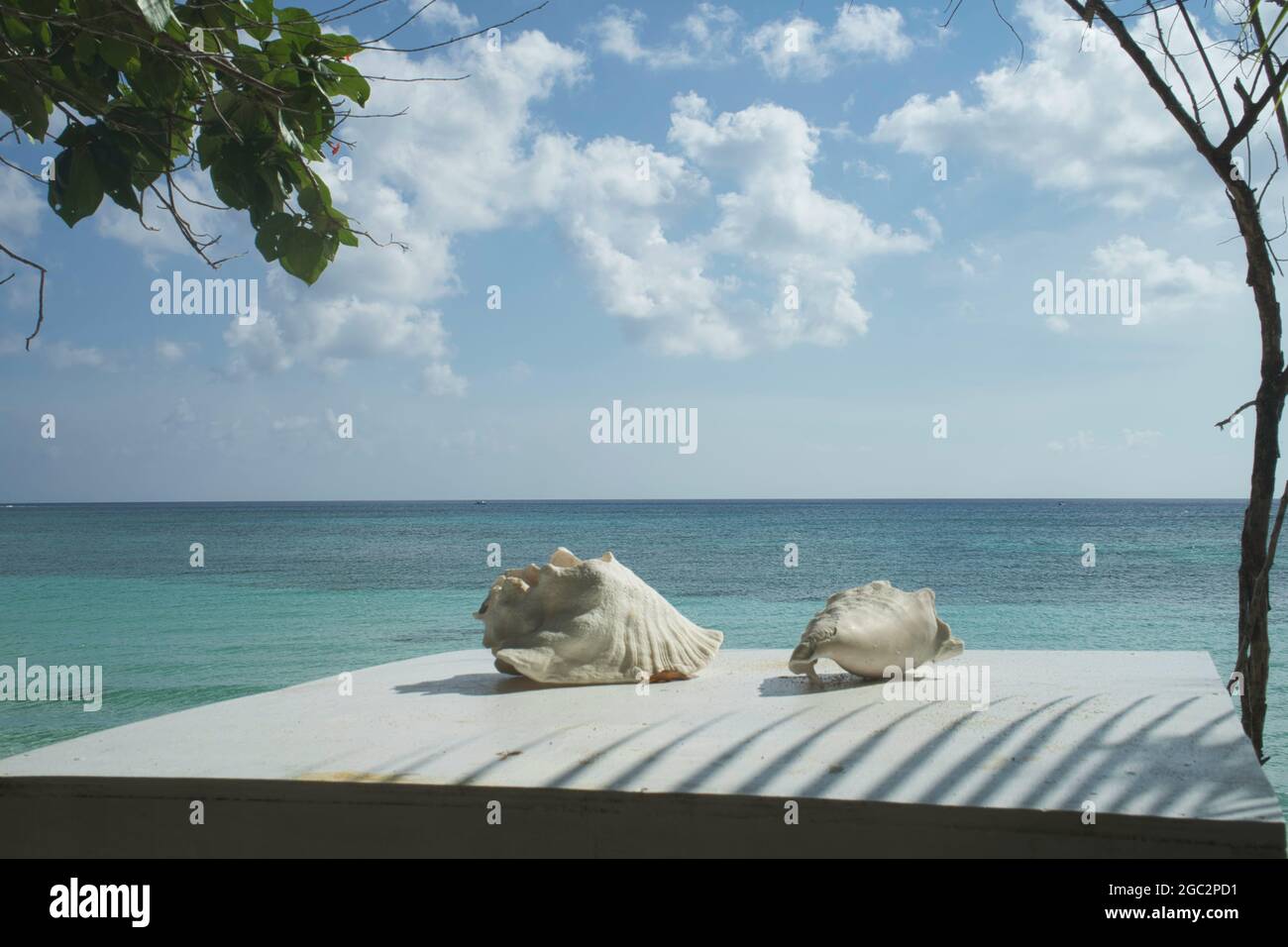 Due conchiglie di mare su un piccolo tavolo di fronte al mare su una spiaggia tropicale deserta su un'isola caraibica. Messico Foto Stock