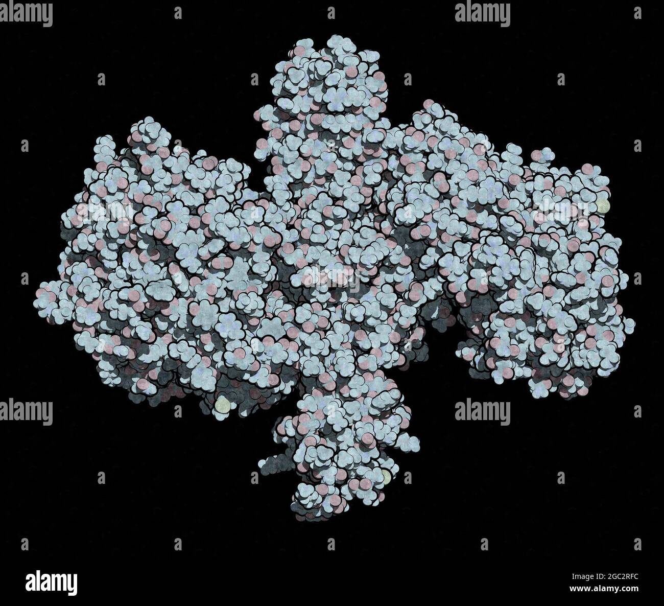 Proteina neurotossica della tossina botulinica, resa 3D. Prodotto da Cl Foto Stock