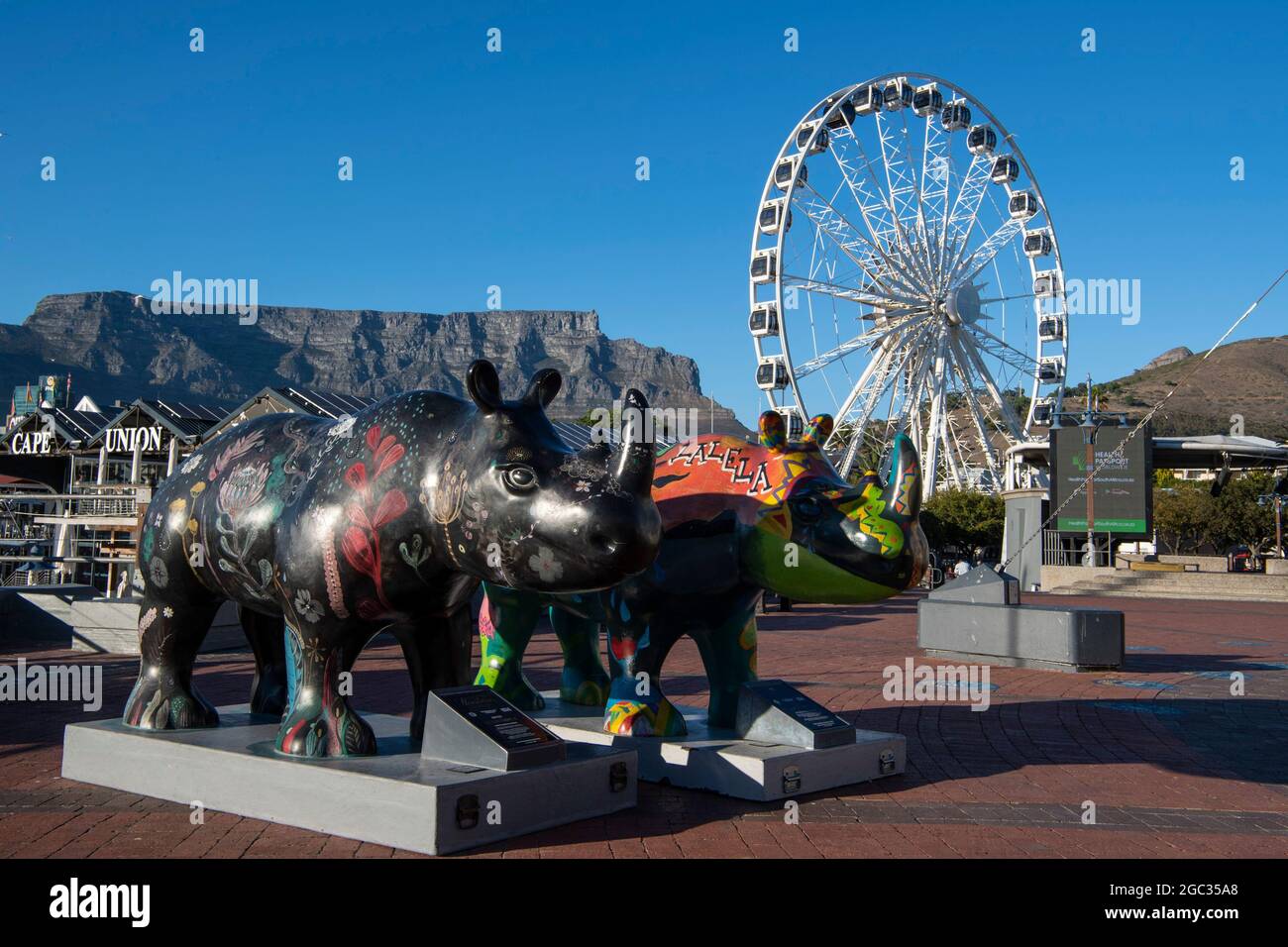 Rhino art e la ruota del Capo al Victoria & Alfred Waterfront, Città del Capo, Sud Africa Foto Stock