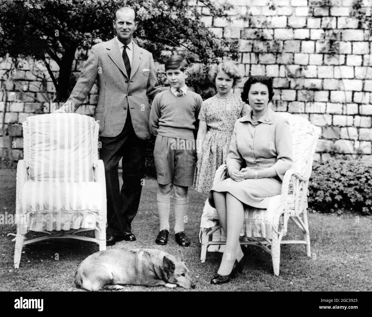 La Regina Elisabetta II e la sua famiglia al Castello di Windsor si trovano sotto la Terrazza Est sul fronte Sud del Castello con zucchero i Corgi della Regina 5 Giugno 1959 Foto Stock