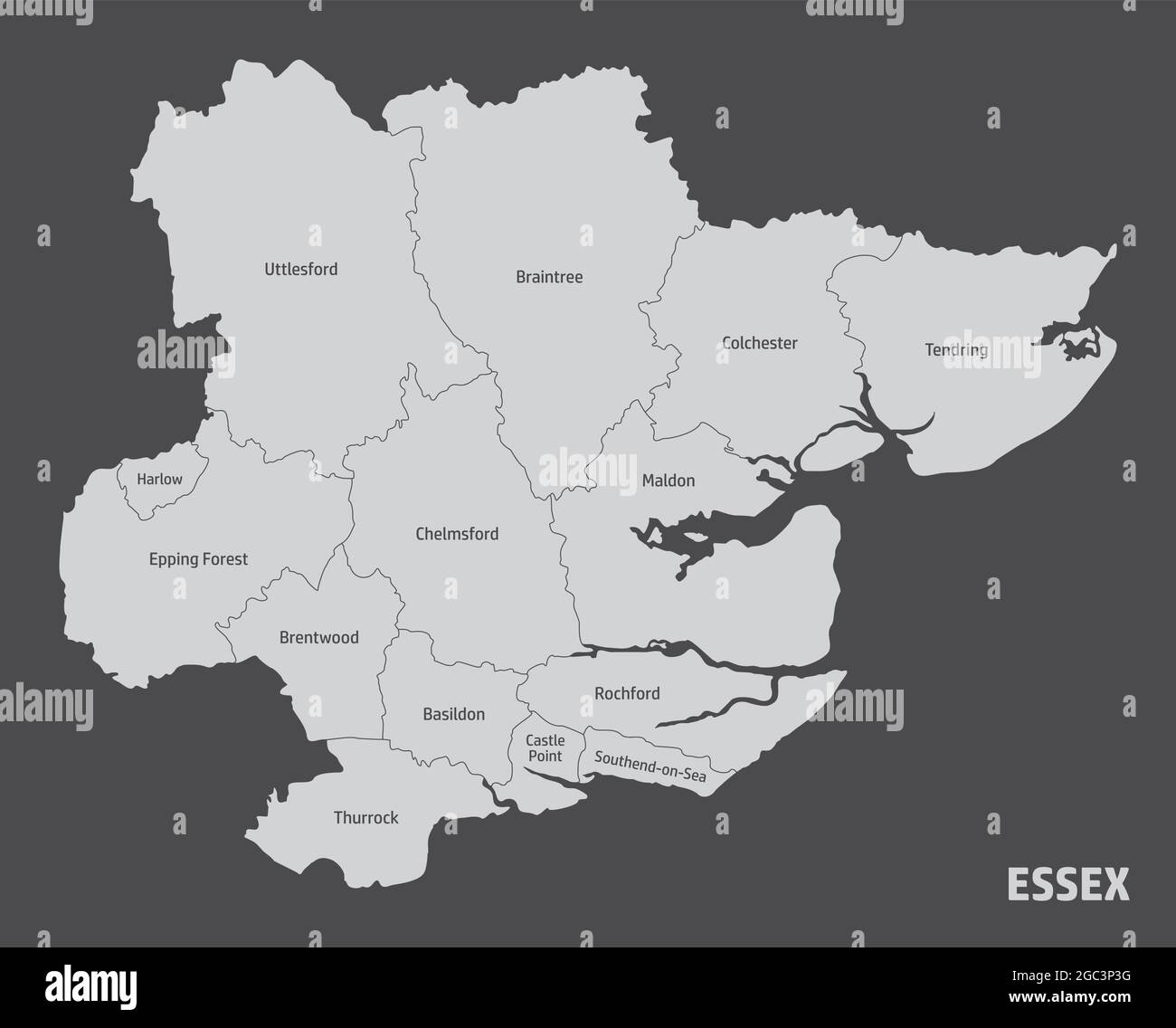 La mappa della contea di Essex divisa in distretti con etichette, Inghilterra Illustrazione Vettoriale