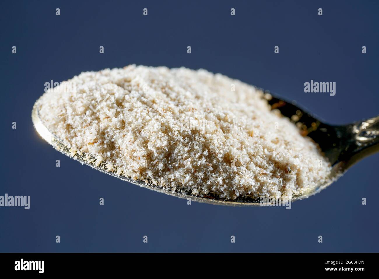 Semi di pulci indiani fotografati in studio contro un nero sfondo Foto Stock