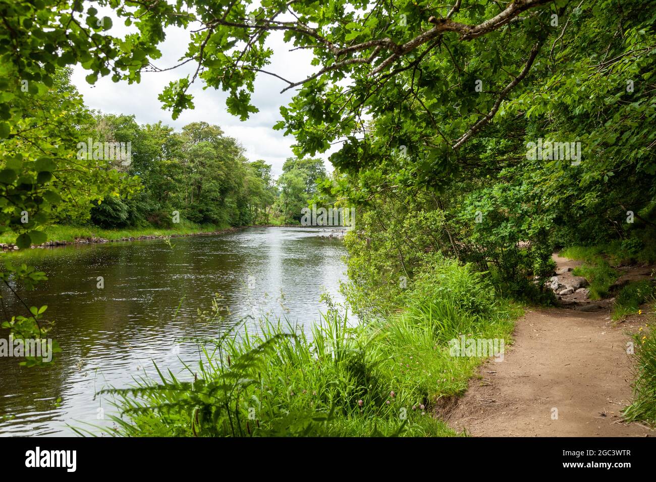Lady Mary's Walk lungo il fiume Earn, vicino a Crieff, Perthshire, Scozia. Foto Stock