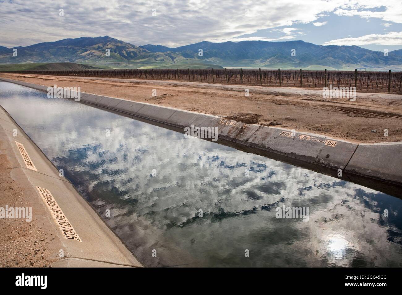 Canale di irrigazione con campo di vitigni e frutteti Foto Stock