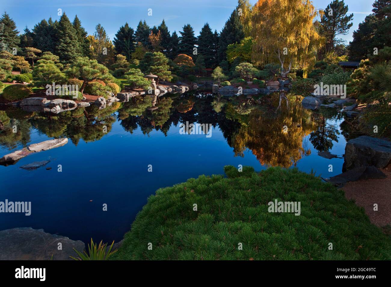 Uno specchio ancora stagno in un giardino giapponese a Denver, Colorado Foto Stock