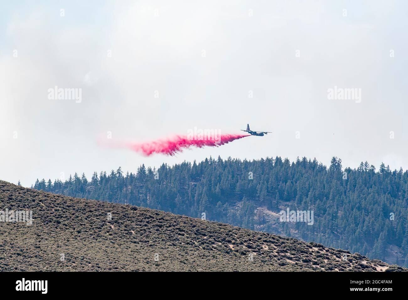 Air National Guard C-130, MAFFS 9, out of Reno, Never. Drops ritardant on the Beckwourth Complex Fire 9 luglio 2021, vicino al lago Frenchman in N. California. Molte risorse, compreso il tre Air National Guard C-130s--due dal Nevada e uno dalla California assisteranno nella lotta al fuoco complesso di Beckwourth nella California del nord. Gli aerei dotati di MAFFS C-130 Air Force, come richiesto dal Centro Nazionale dei vigili del fuoco Interagenzia e approvato dal Segretario della Difesa, stanno fornendo capacità uniche di estinzione. Il DoD, attraverso il comandante, il comando nordico degli Stati Uniti (USNORTHCOM), fornisce il supporto Foto Stock