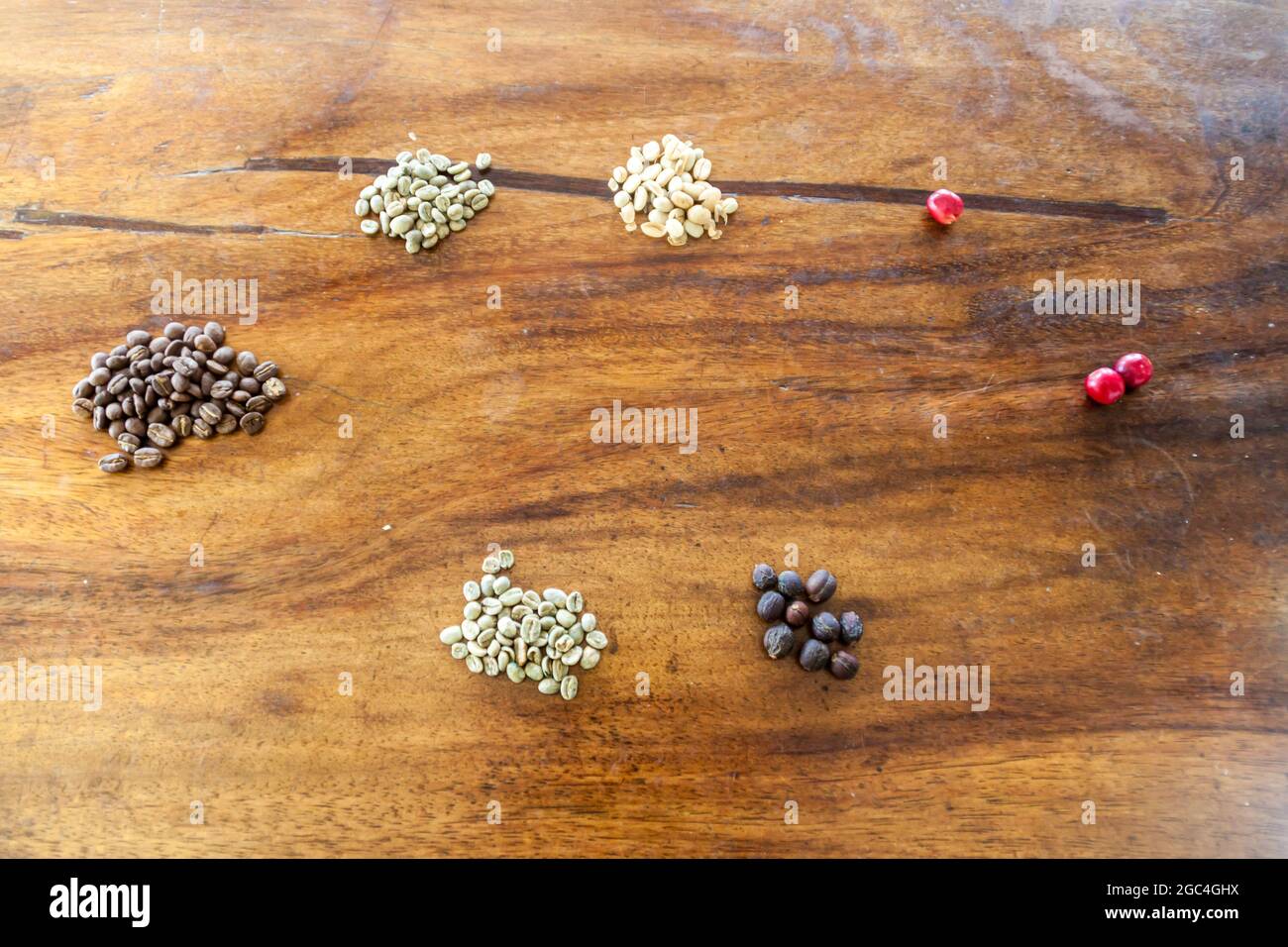 Produzione di caffè arabica. Dalla bacche matura (a destra) ai fagioli tostati (a sinistra). Vengono visualizzati due diversi modi. Bagnato (giù) e asciutto. Foto Stock