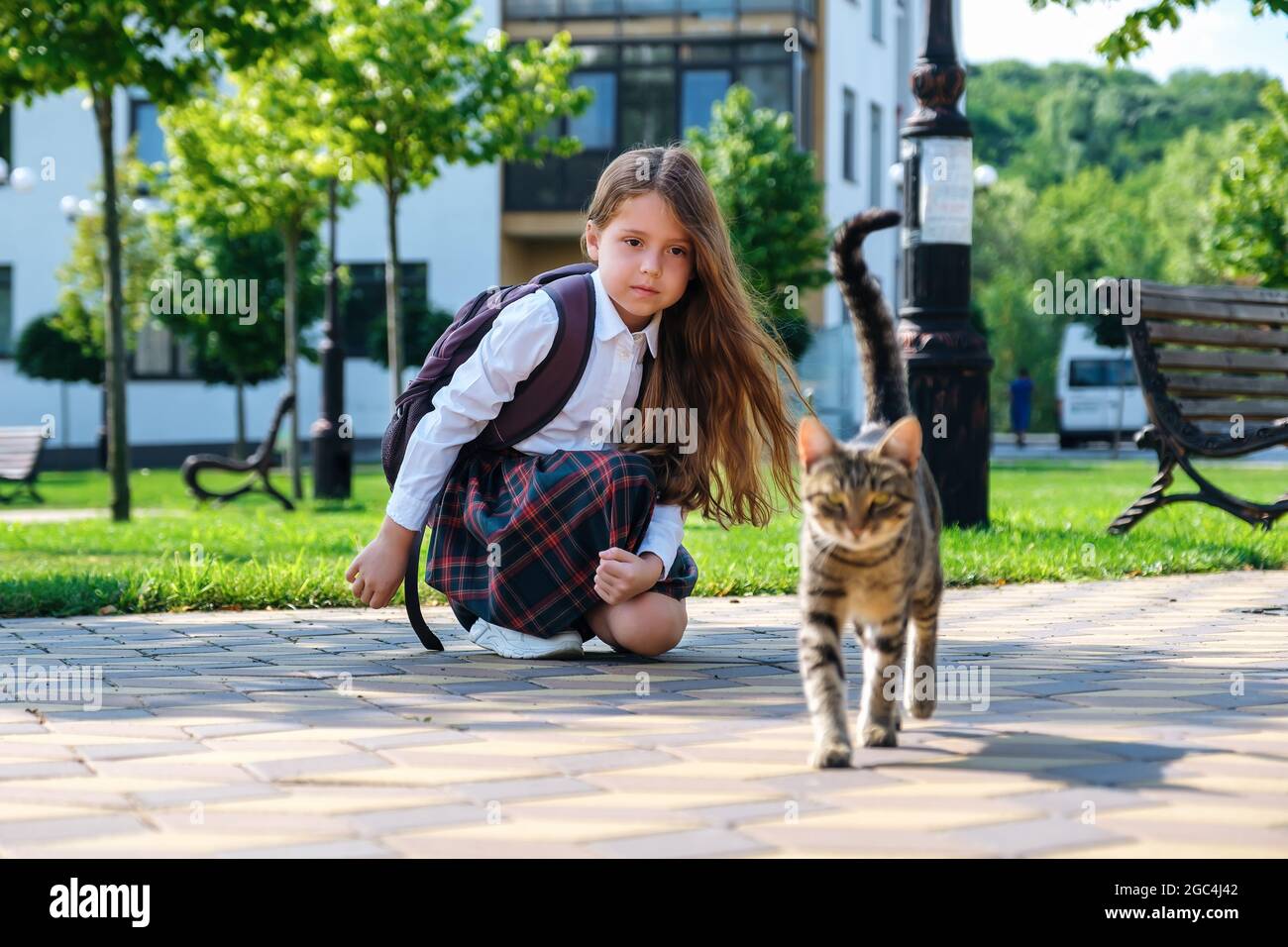 Ragazza lttle in uniforme e con zaino che gioca con un gatto vagante per strada Foto Stock