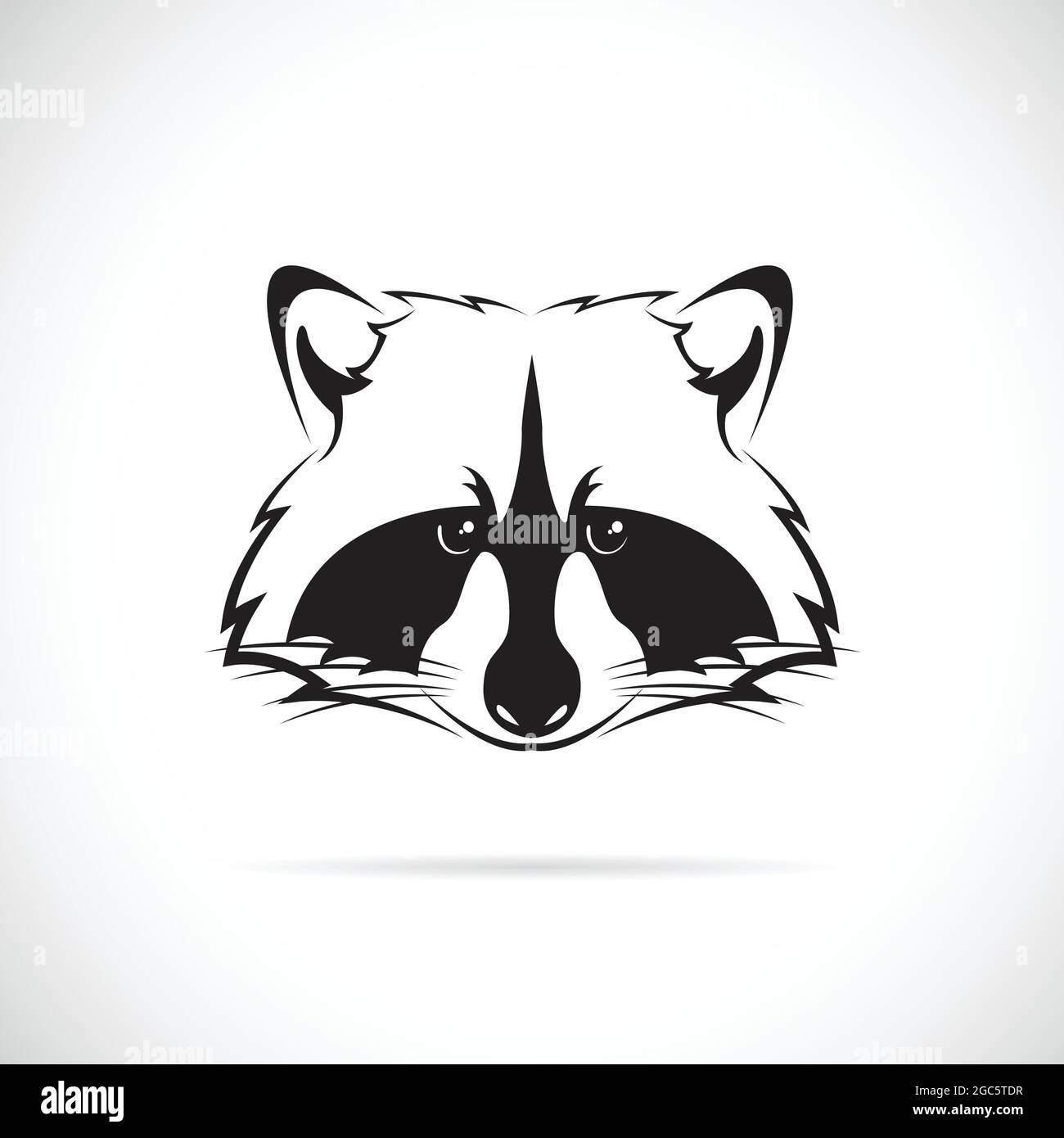 Immagine vettoriale di una faccia di raccoon su sfondo bianco. Illustrazione vettoriale a livelli facilmente modificabile. Animali selvatici. Illustrazione Vettoriale