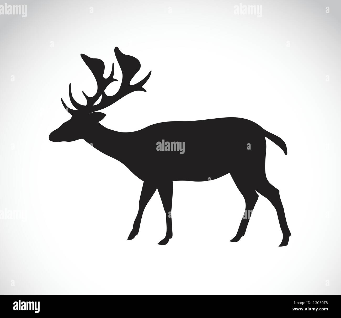 Immagine vettoriale di un cervo su sfondo bianco. Illustrazione vettoriale a livelli facilmente modificabile. Animali selvatici. Illustrazione Vettoriale