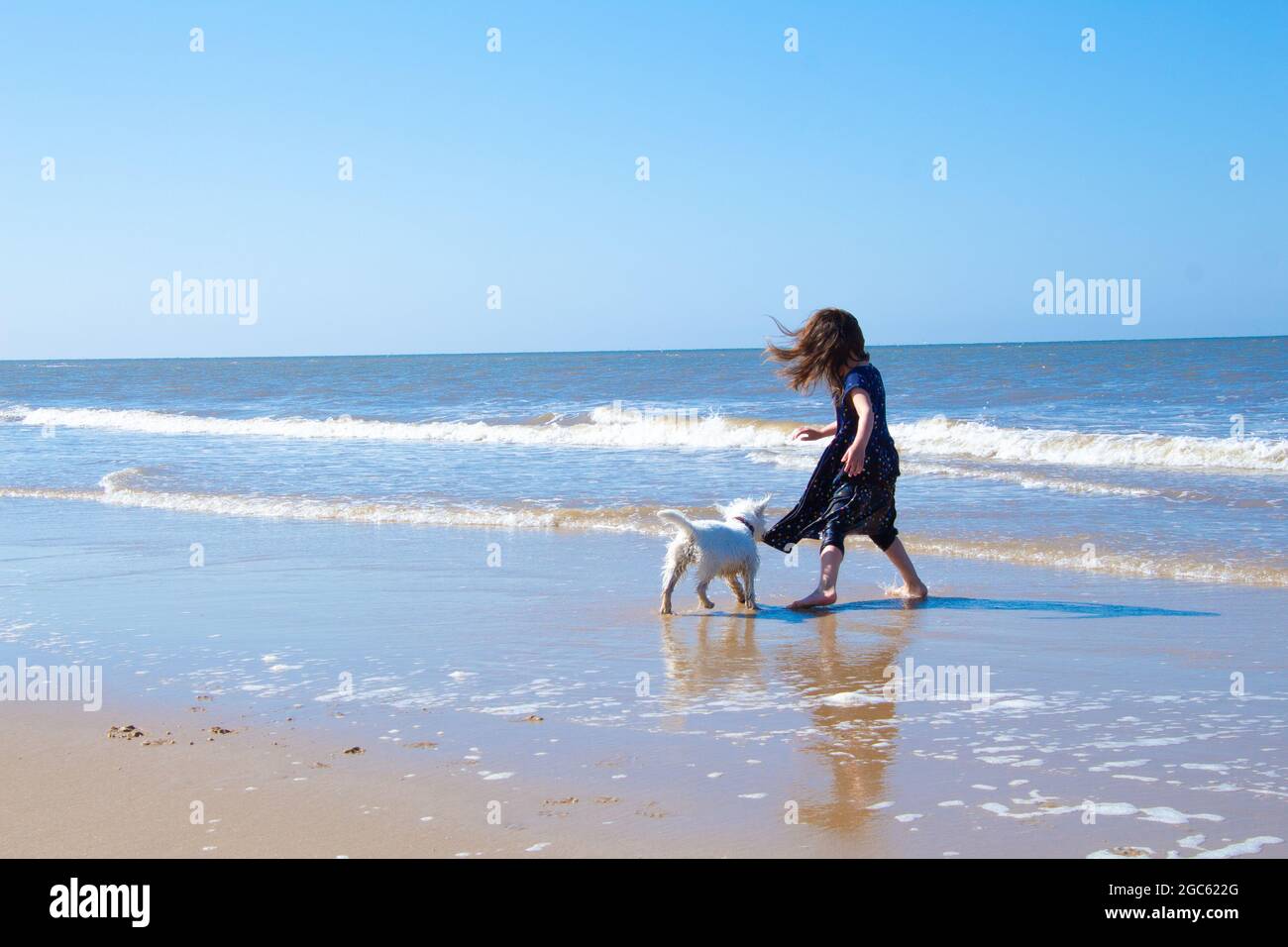 Bambino che gioca in acqua con il cane bianco in un vestito blu su una lunga striscia di sabbia sulla riva di Cromer, Nortfolk in Inghilterra, bella stagcape Foto Stock