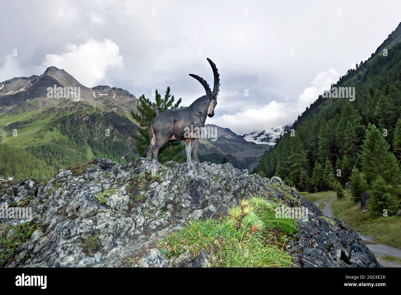 Sculture in legno a Solda (Bz), Alto Adige, Italia Foto Stock