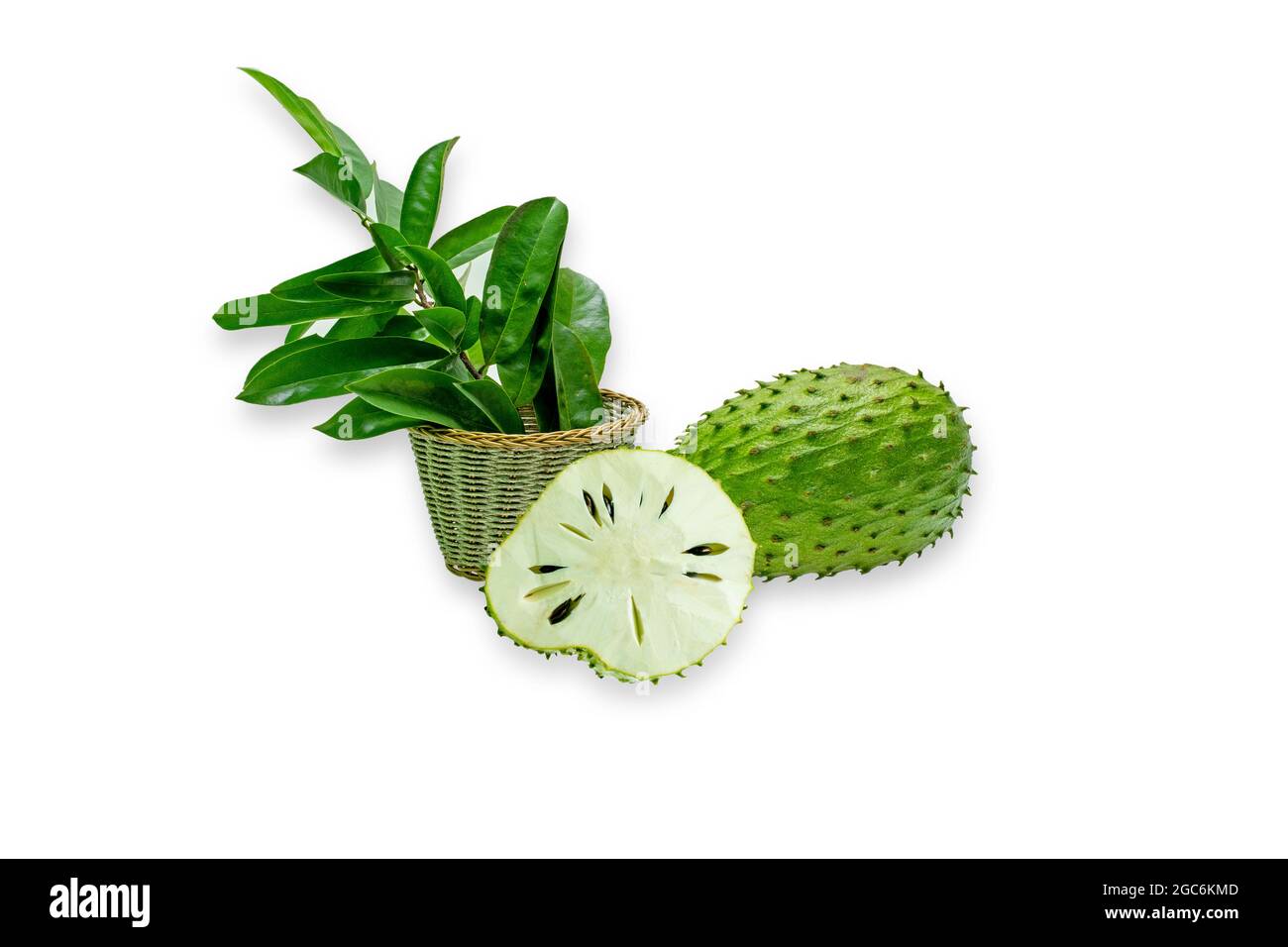 Annona muricata (graviola) è un frutto della famiglia di mele custode in climi tropicali di tutto il mondo. Foto Stock