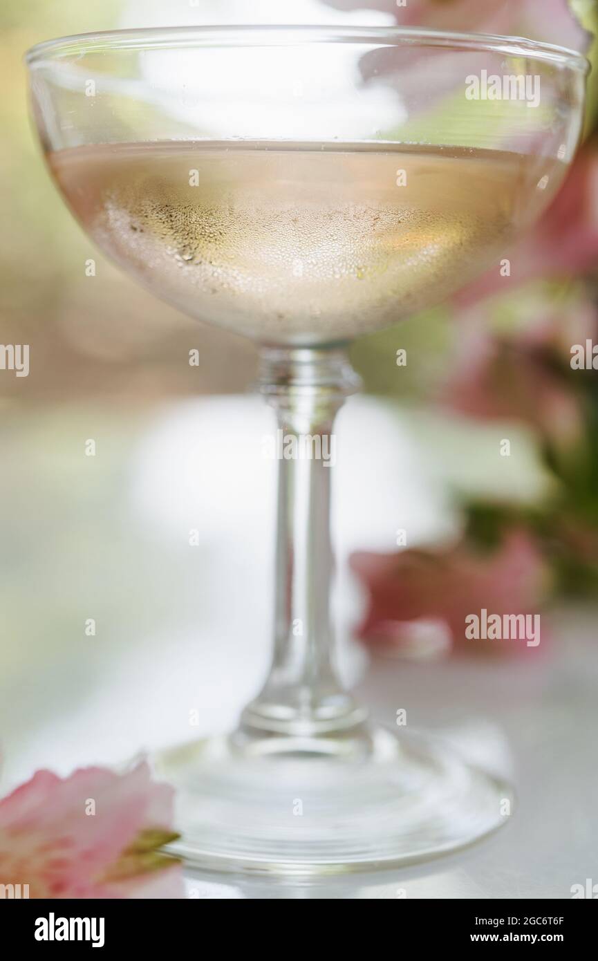 Vino frizzante di rosa in bicchiere Foto Stock