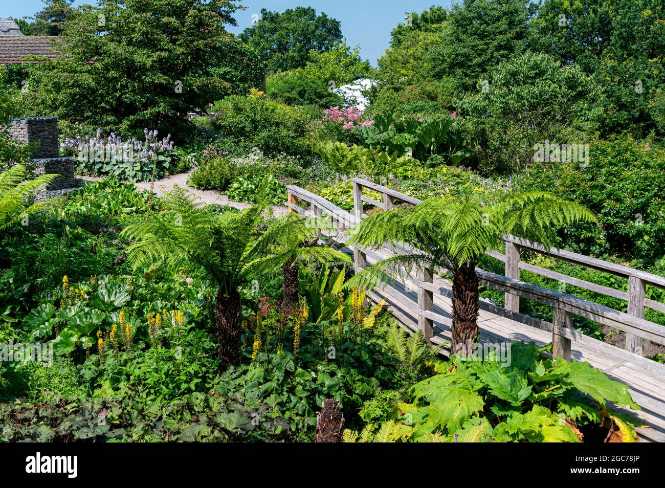 Il giardino Robinson, RHS Hyde Hall, Essex. Foto Stock