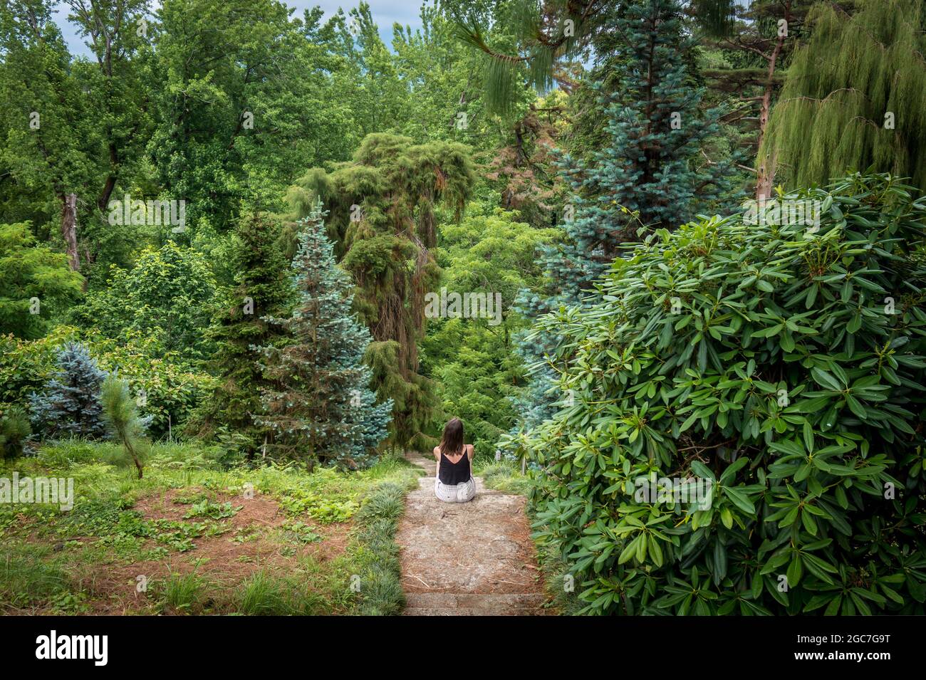 Giovane donna seduta che si affaccia bella foresta verde, parco in estate. Concetto di conservazione dell'ambiente. Giardino botanico di Batumi, Georgia. Foto Stock