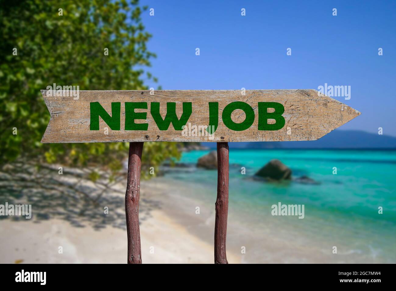 Nuovo lavoro freccia legno segno strada contro sfondo natura Foto Stock