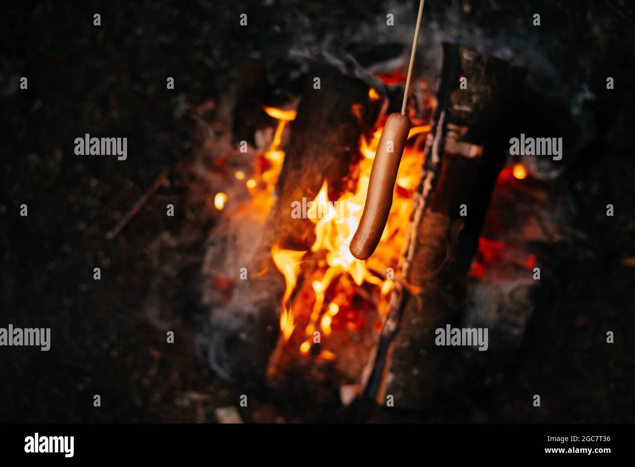 Cucinare salsicce su un falò nella foresta Foto Stock