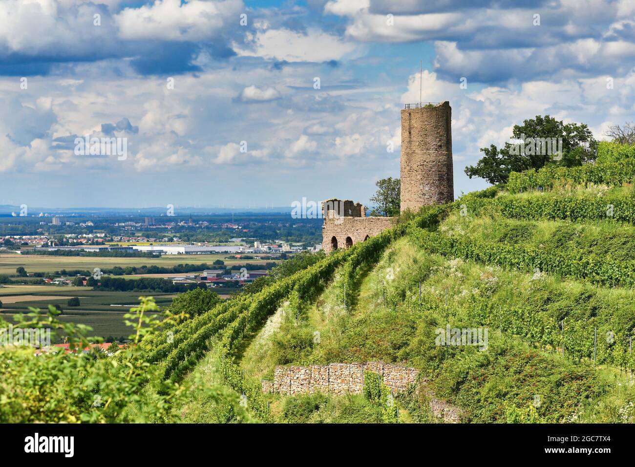 Rovine del castello tedesco e ristorante chiamato Strahlenburg nella foresta di Odenwald nella città di Schriesheim Foto Stock
