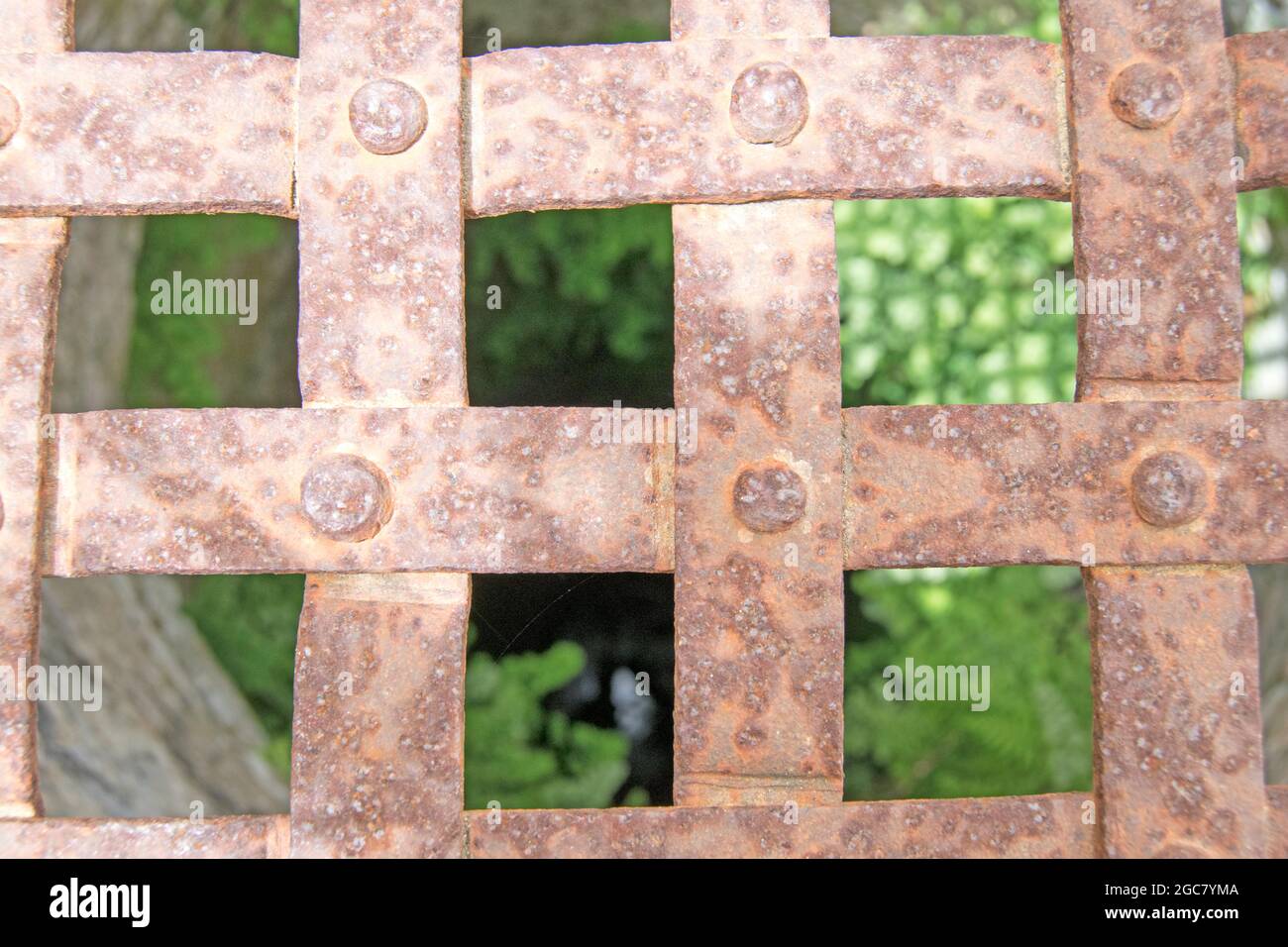 Recinzione di ferro che copre un bene con erbacce al fondo Foto Stock