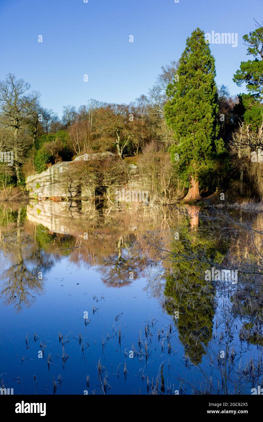 Riflessione nell’acqua del lago degli alberi e della formazione rocciosa a Lake Wood, Uckfield, Sussex, Regno Unito in una giornata di sole invernale. Foto Stock