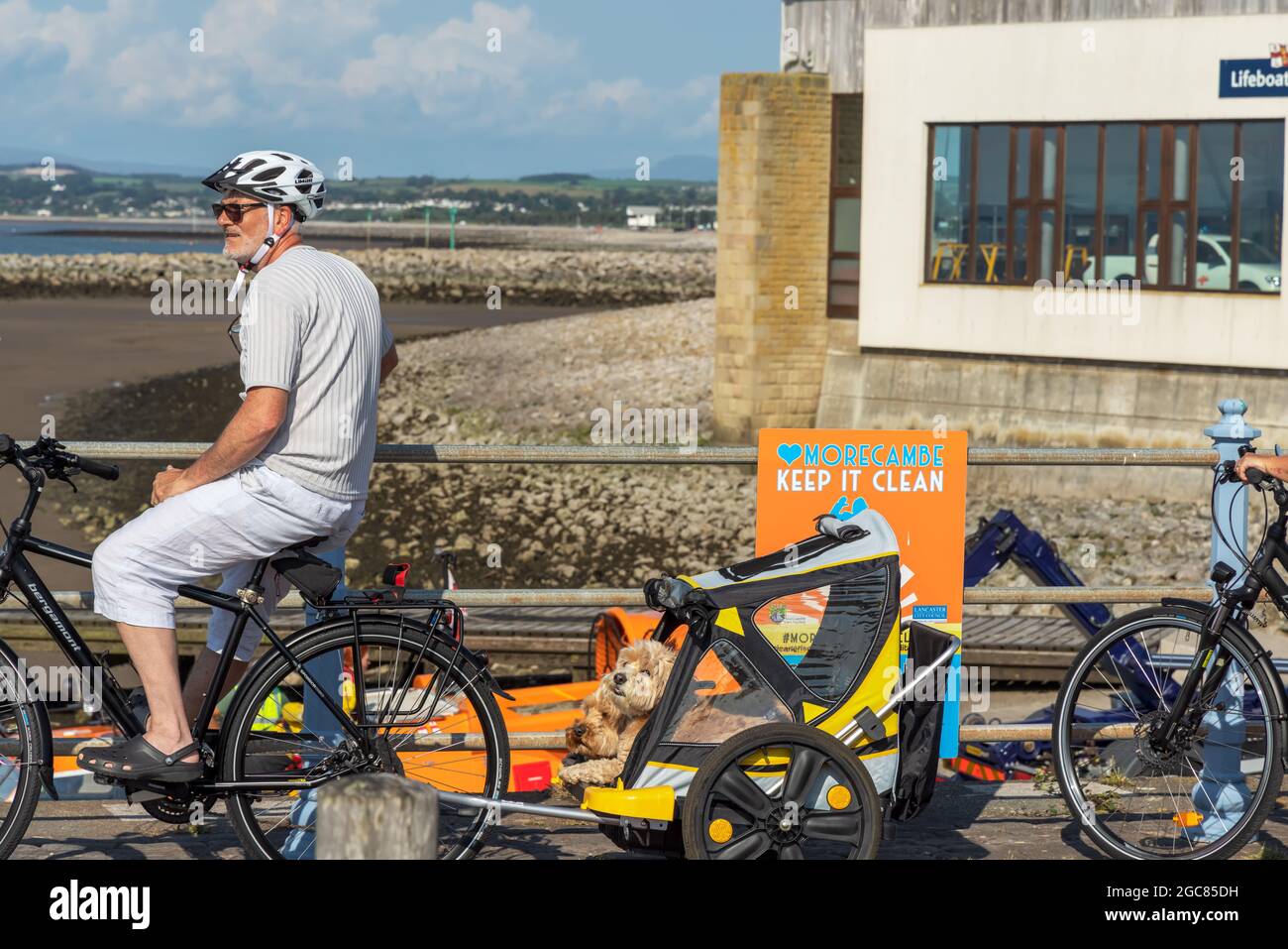 Ciclista maturo con rimorchio di lusso con due cani felici di terrier sul lungomare di Morecambe. Foto Stock