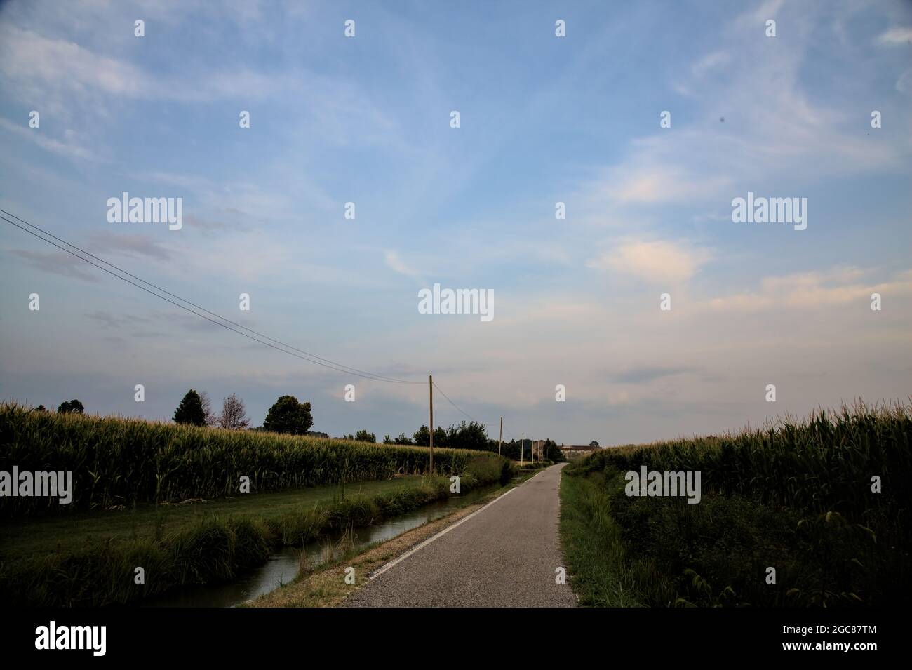 Stretta strada di campagna vicino ai campi nella campagna italiana al sole Foto Stock