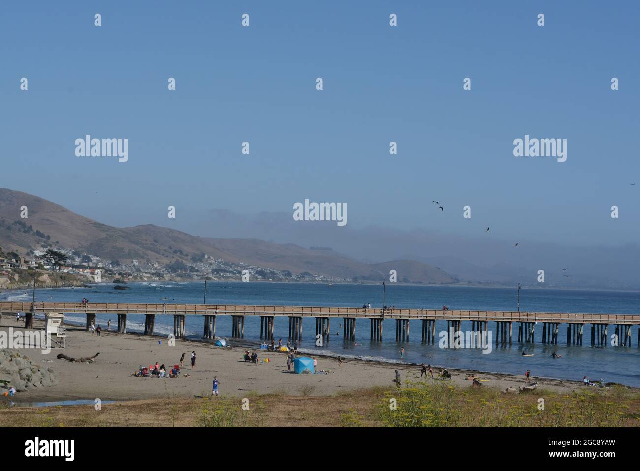 Cayucos state Beach con il molo di Cayucos sulla baia di estero. Nella contea di San Luis Obispo, California Foto Stock