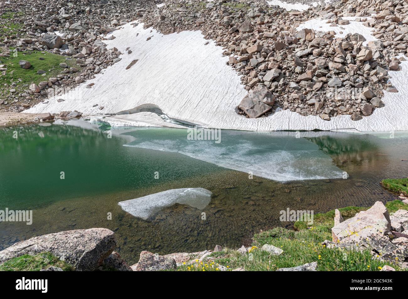 Ghiaia estiva vicino alla riva del lago Scotch nel Parco Nazionale delle Montagne Rocciose Foto Stock