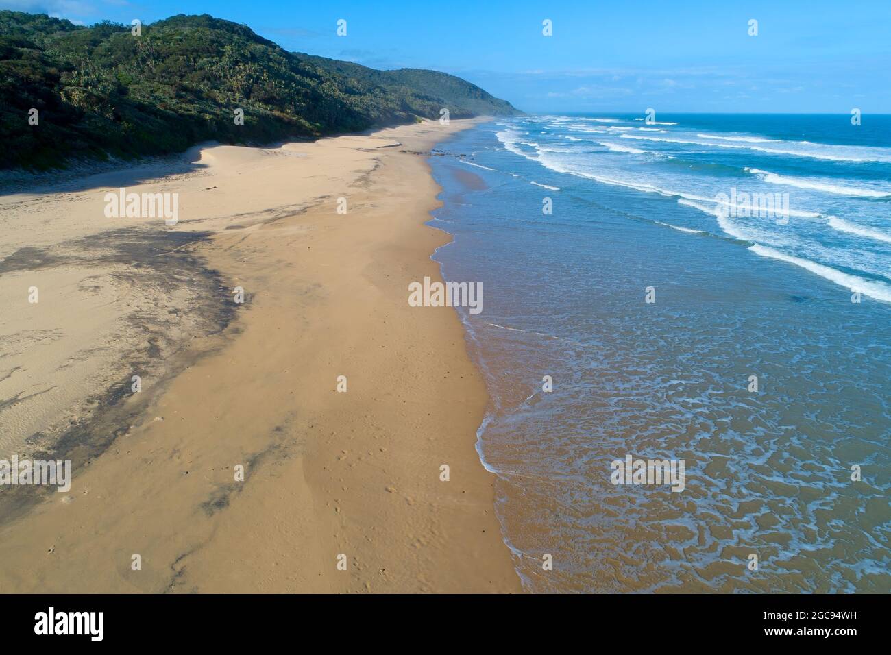 Paesaggistico paesaggio di spiaggia sabbiosa con foresta costiera, Sud Africa Foto Stock