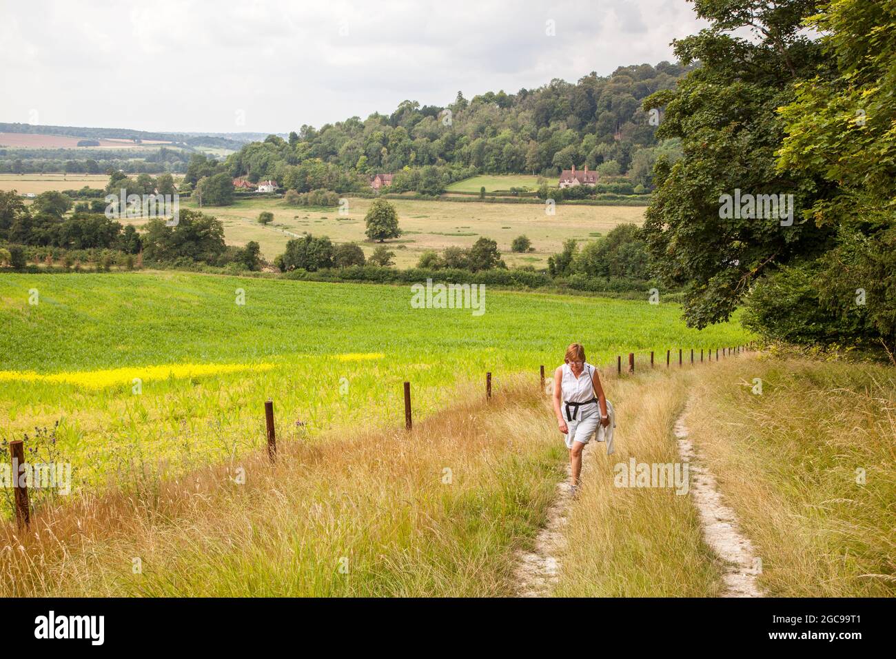 Donna che cammina sulla via Chilterns lungo percorso lungo distanza sul sentiero fuori del villaggio del Buckinghamshire di Hambleden Foto Stock
