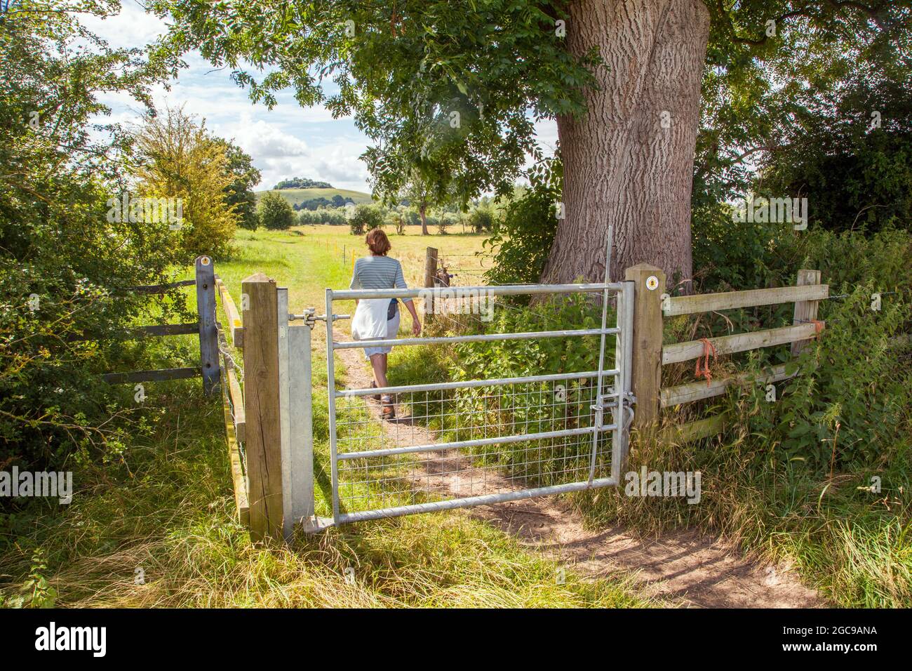 Donna che cammina lungo il fiume Thame lungo percorso che si avvicina Wittenham Clumps nel rurale Oxfordshire Foto Stock