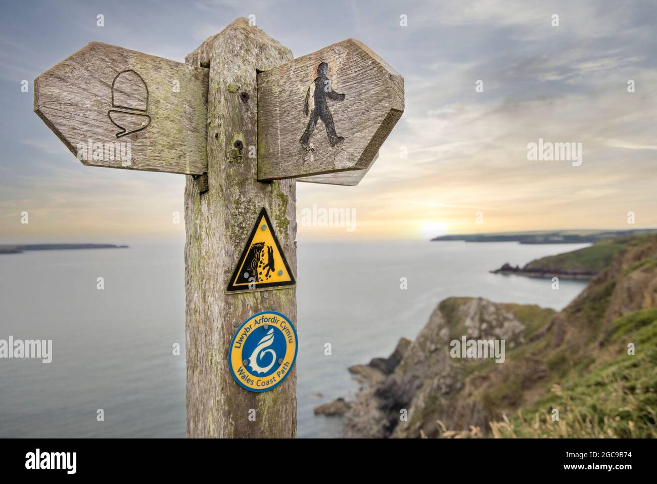 Cartello con scritto sul Wales Coast Path con pericolo di scogliere vicino a St Ishmael, Pembrokeshire, Galles, Regno Unito Foto Stock