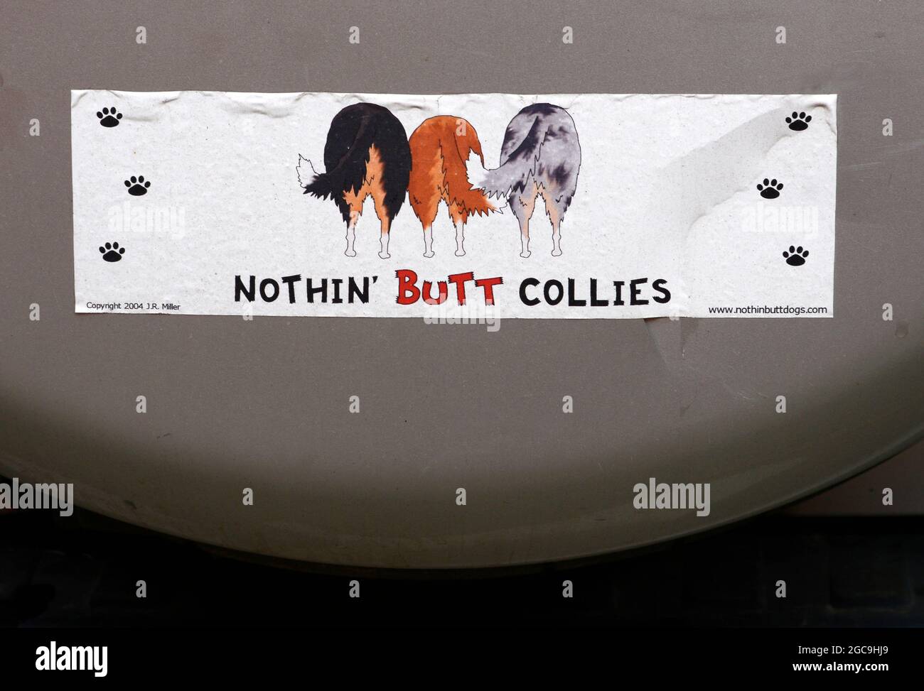 Un adesivo paraurti su un'auto appartenente a un proprietario di cani parcheggiato a Santa Fe, New Mexico. Foto Stock